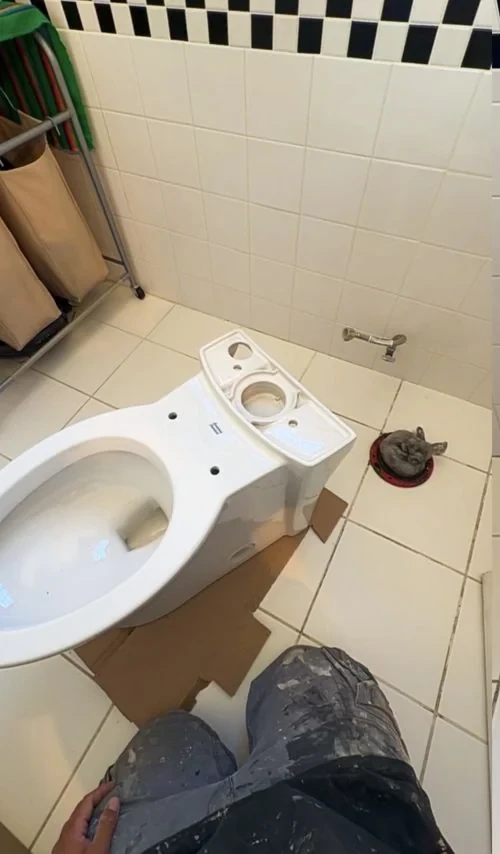 Before: toilet installation in progress