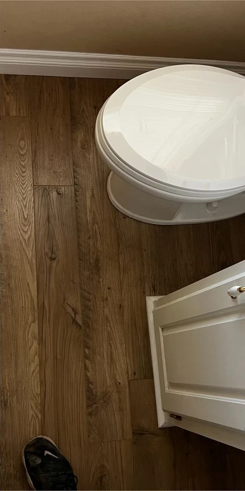 After: new plank flooring and installed toilet